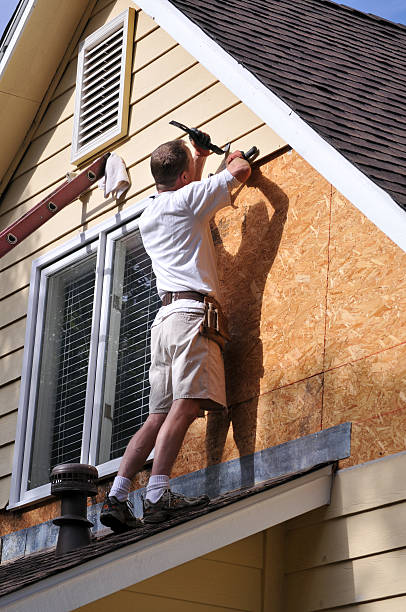 Best Shed Removal  in Aiea, HI